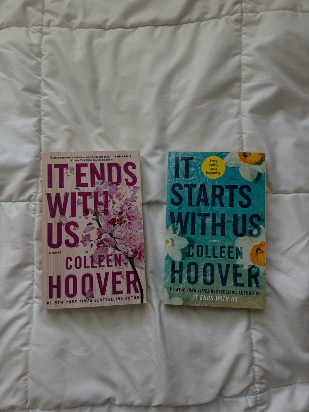 It Ends With Us Duology